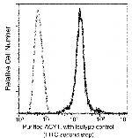 Aminoacylase Antibody in Flow Cytometry (Flow)