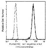 Angiotensinogen Antibody in Flow Cytometry (Flow)