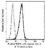 BMP-4 Antibody in Flow Cytometry (Flow)