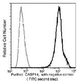 Caspase 14 Antibody in Flow Cytometry (Flow)