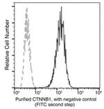 beta Catenin Antibody in Flow Cytometry (Flow)