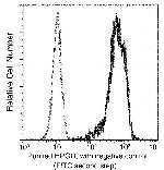 15-PGDH Antibody in Flow Cytometry (Flow)