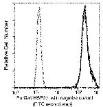 HSP27 Antibody in Flow Cytometry (Flow)