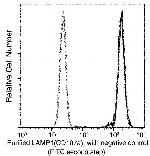 LAMP1 Antibody in Flow Cytometry (Flow)