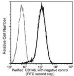 CD146 Antibody in Flow Cytometry (Flow)