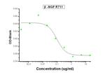 NGF Antibody in Neutralization (Neu)