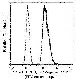 PHGDH Antibody in Flow Cytometry (Flow)