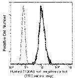 S100A6 Antibody in Flow Cytometry (Flow)