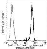 Osteopontin Antibody in Flow Cytometry (Flow)