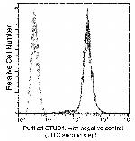 STUB1 Antibody in Flow Cytometry (Flow)