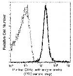 CD48 Antibody in Flow Cytometry (Flow)