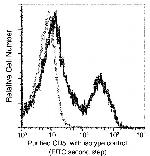 CD5 Antibody in Flow Cytometry (Flow)