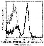 CEACAM1 Antibody in Flow Cytometry (Flow)