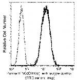 CD105 Antibody in Flow Cytometry (Flow)