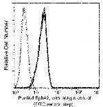 EphA2 Antibody in Flow Cytometry (Flow)