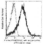 CD155 Antibody in Flow Cytometry (Flow)