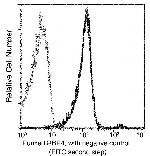 RBP4 Antibody in Flow Cytometry (Flow)