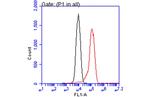 ATP6V1A Antibody in Flow Cytometry (Flow)