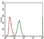 MRP4 Antibody in Flow Cytometry (Flow)