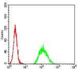 ADAMTS1 Antibody in Flow Cytometry (Flow)