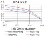 Centaurin alpha-1 Antibody in ELISA (ELISA)