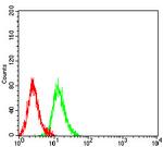 Centaurin alpha-1 Antibody in Flow Cytometry (Flow)