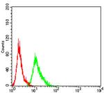 AEBP2 Antibody in Flow Cytometry (Flow)