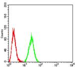 KDM1B Antibody in Flow Cytometry (Flow)