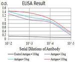 Aquaporin 2 Antibody in ELISA (ELISA)