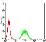 ATF3 Antibody in Flow Cytometry (Flow)