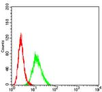 BCL11B Antibody in Flow Cytometry (Flow)