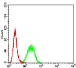 Bcl-B Antibody in Flow Cytometry (Flow)