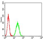 BRD2 Antibody in Flow Cytometry (Flow)