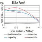 BTN2A2 Antibody in ELISA (ELISA)