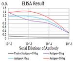 Bub1 Antibody in ELISA (ELISA)