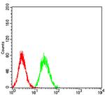 Bub1 Antibody in Flow Cytometry (Flow)