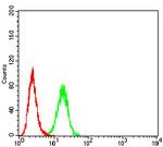 C1QC Antibody in Flow Cytometry (Flow)