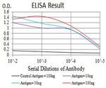 BCMA Antibody in ELISA (ELISA)