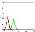 BCMA Antibody in Flow Cytometry (Flow)