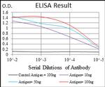 FLIP Antibody in ELISA (ELISA)