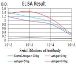 CHRNA10 Antibody in ELISA (ELISA)