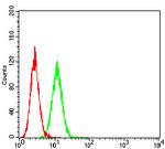 CHRNA10 Antibody in Flow Cytometry (Flow)