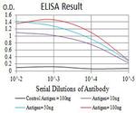 CHRNA2 Antibody in ELISA (ELISA)