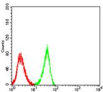 CHRNA3 Antibody in Flow Cytometry (Flow)