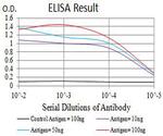 CHRNA4 Antibody in ELISA (ELISA)