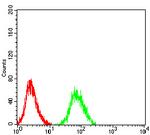 CHRNA6 Antibody in Flow Cytometry (Flow)