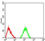 CHRNA6 Antibody in Flow Cytometry (Flow)