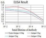 CHRNB4 Antibody in ELISA (ELISA)