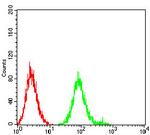 CHRNB4 Antibody in Flow Cytometry (Flow)