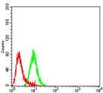 CHRND Antibody in Flow Cytometry (Flow)